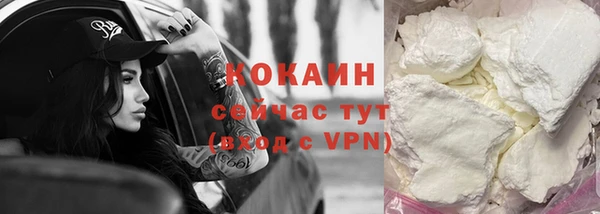 прущие грибы Пролетарск