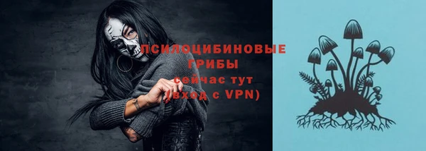 спиды Балахна
